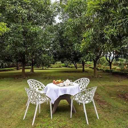 Stayvista'S Prakriti Farms With Outdoor Pool, Complimentary Breakfast And Hi-Tea Udaipur Ngoại thất bức ảnh